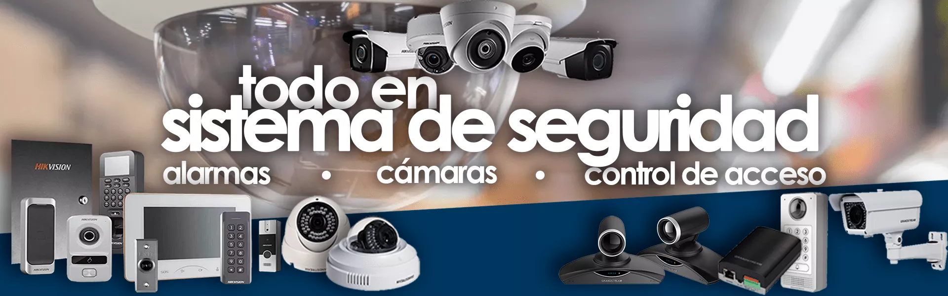 SISTEMAS DE SEGURIDAD